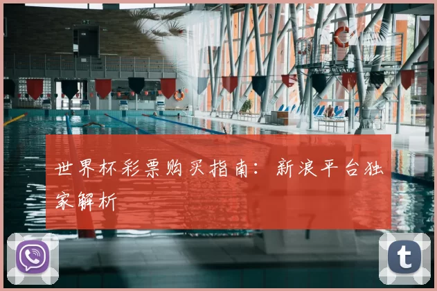 世界杯彩票购买指南：新浪平台独家解析