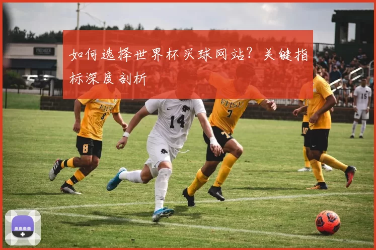 如何选择世界杯买球网站？关键指标深度剖析
