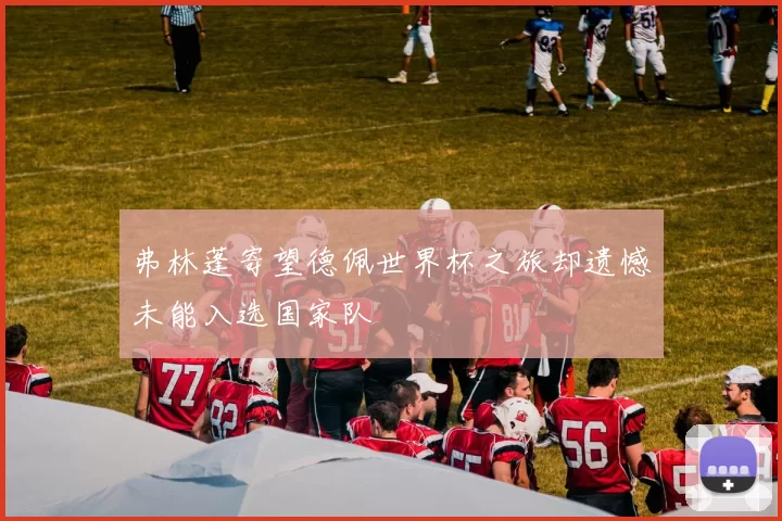 弗林蓬寄望德佩世界杯之旅却遗憾未能入选国家队