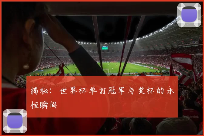 揭秘:世界杯单打冠军与奖杯的永恒瞬间