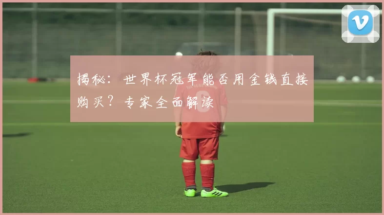 揭秘:世界杯冠军能否用金钱直接购买?专家全面解读