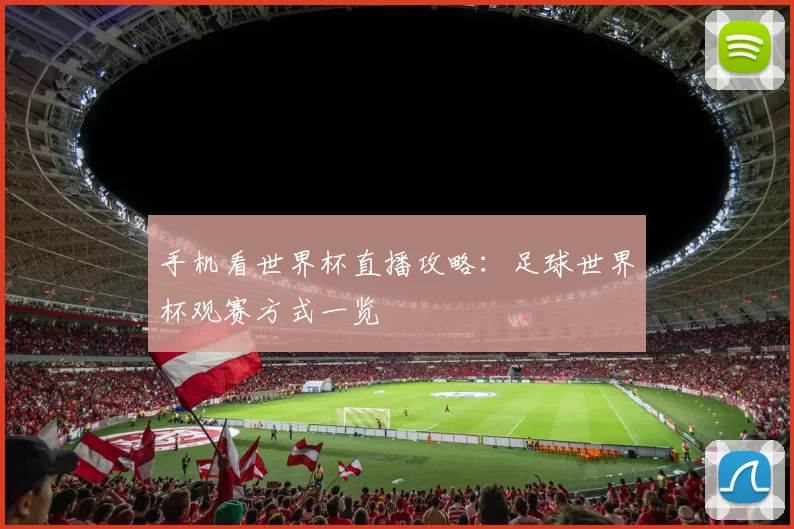手机看世界杯直播攻略：足球世界杯观赛方式一览
