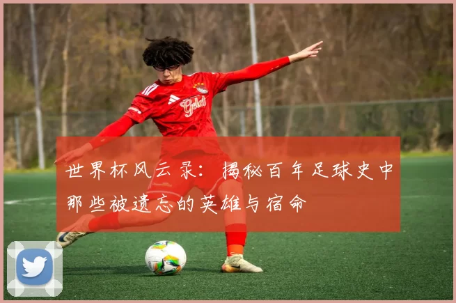 世界杯风云录：揭秘百年足球史中那些被遗忘的英雄与宿命