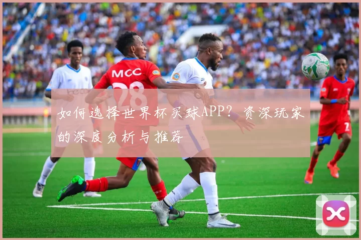 如何选择世界杯买球APP？资深玩家的深度分析与推荐