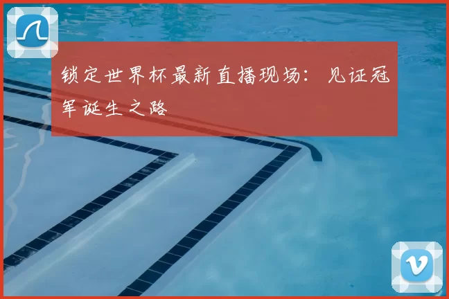 锁定世界杯最新直播现场：见证冠军诞生之路