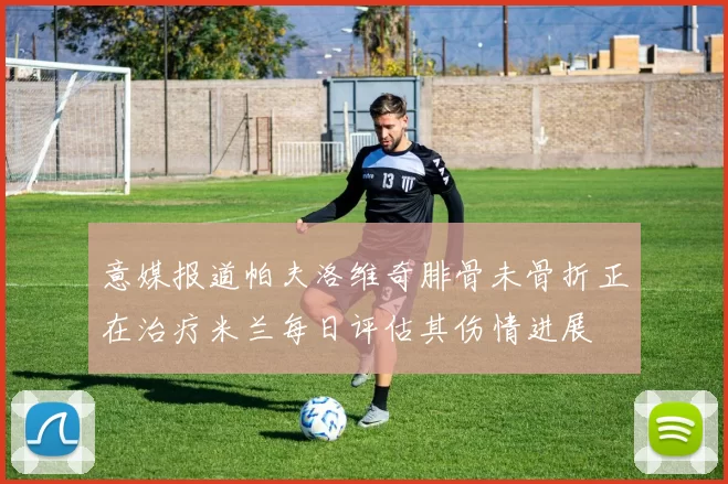 意媒报道帕夫洛维奇腓骨未骨折正在治疗米兰每日评估其伤情进展