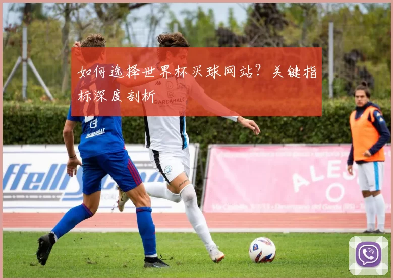 如何选择世界杯买球网站？关键指标深度剖析
