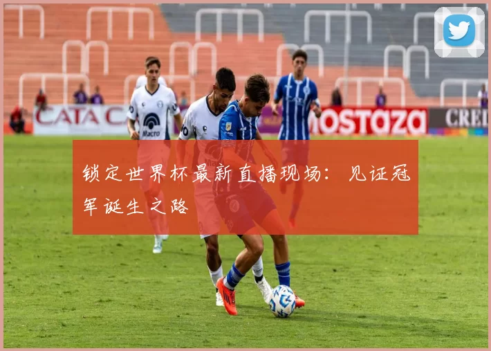 锁定世界杯最新直播现场：见证冠军诞生之路
