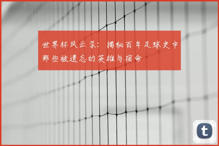 世界杯风云录：揭秘百年足球史中那些被遗忘的英雄与宿命