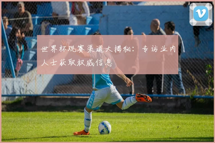 世界杯观赛渠道大揭秘：专访业内人士获取权威信息